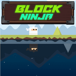 block-ninja-game