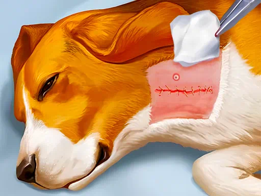 dog-hospital-game