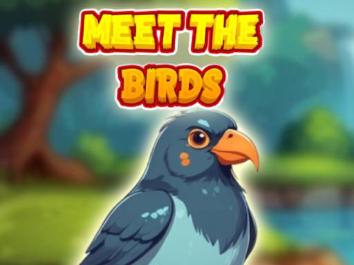 meet-the-birds-game
