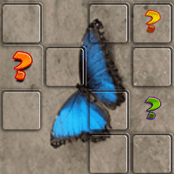 butterfly-memory-match-game