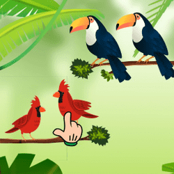 bird-sort-game